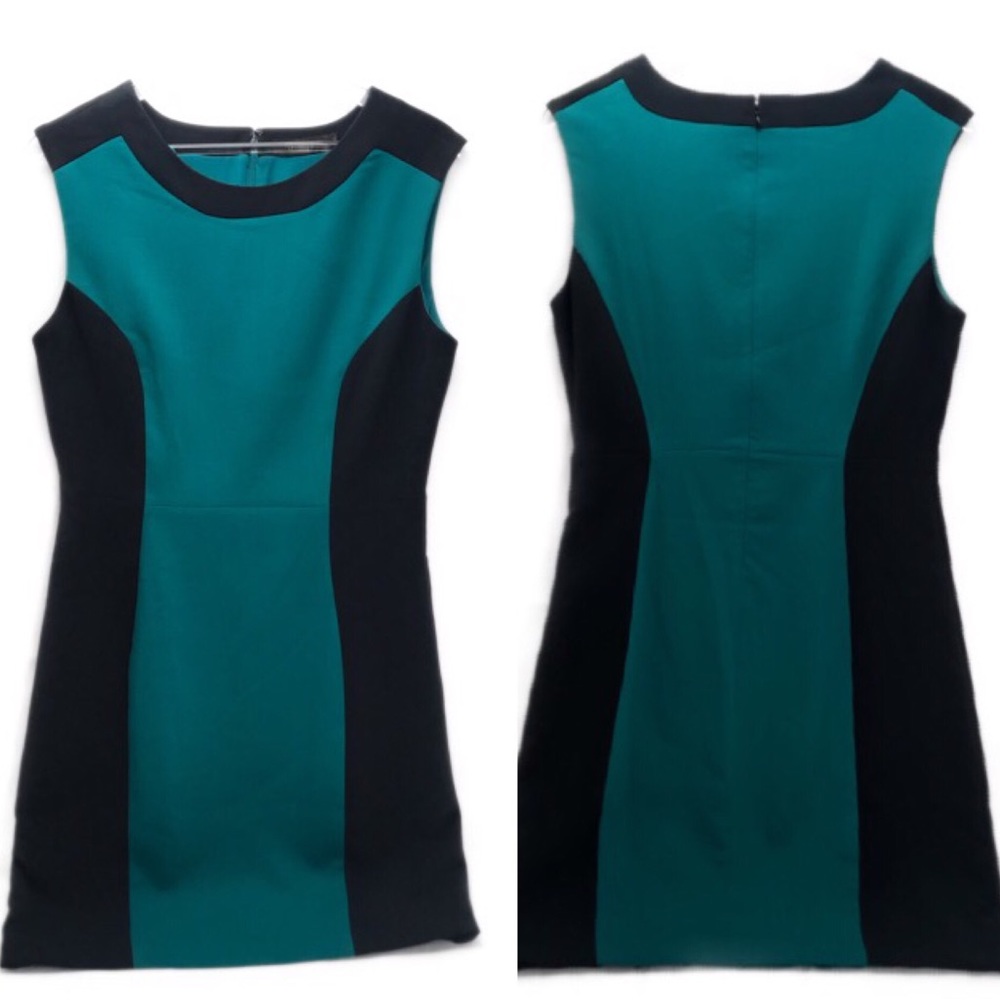 The Limited Career Color Block Sheath Dress.